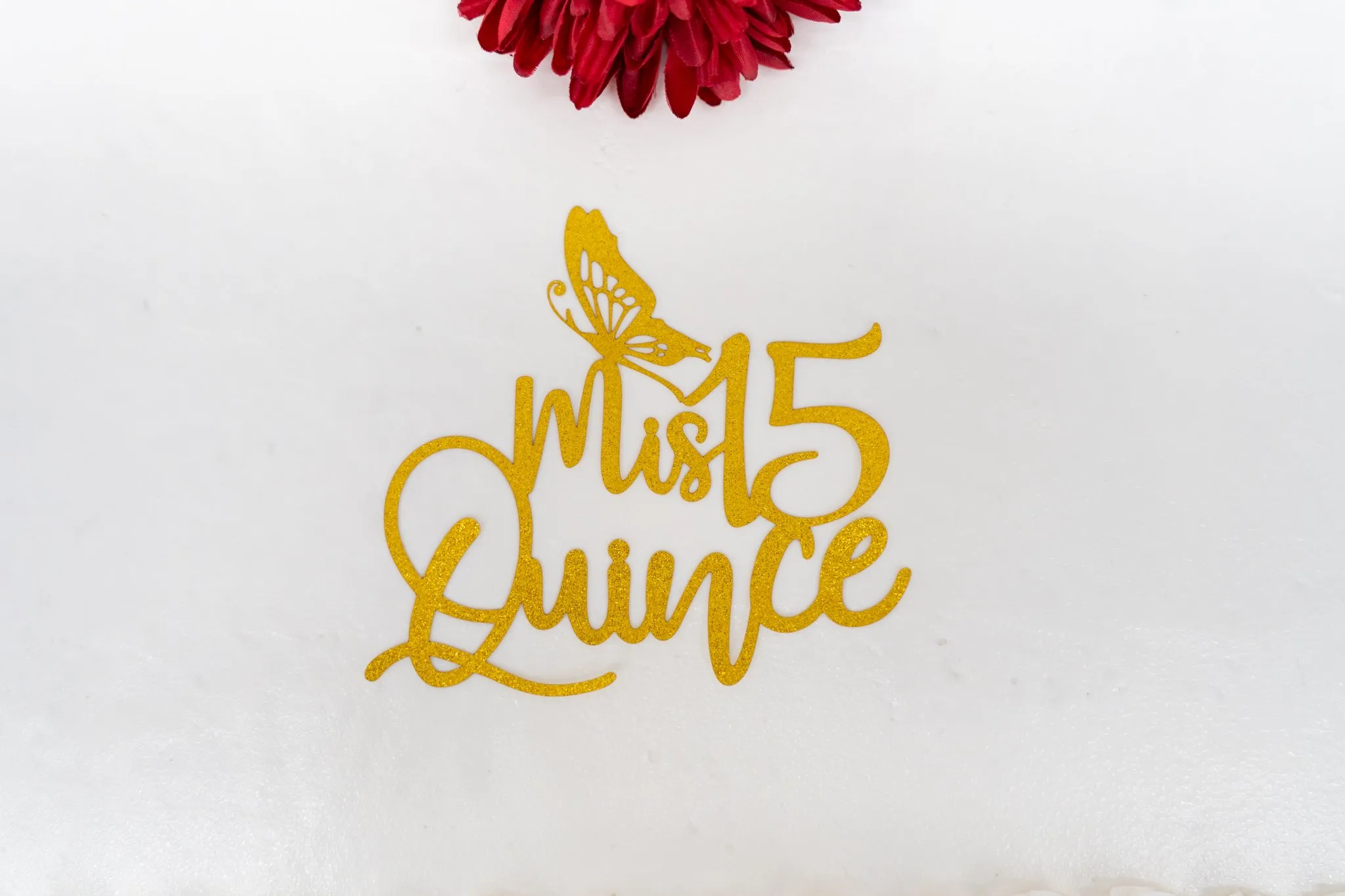 XV de Ysabella: foto de quinceañera 14 por el fotógrafo de Dallas Rony Lanza